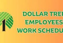 dollar tree schedule